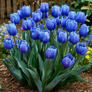 Тюльпан Фентези купить по цене от 210р. в интернет-магазине «Посадика» с доставкой почтой в в Северо-Курильске и по всей России – [изображение №1].